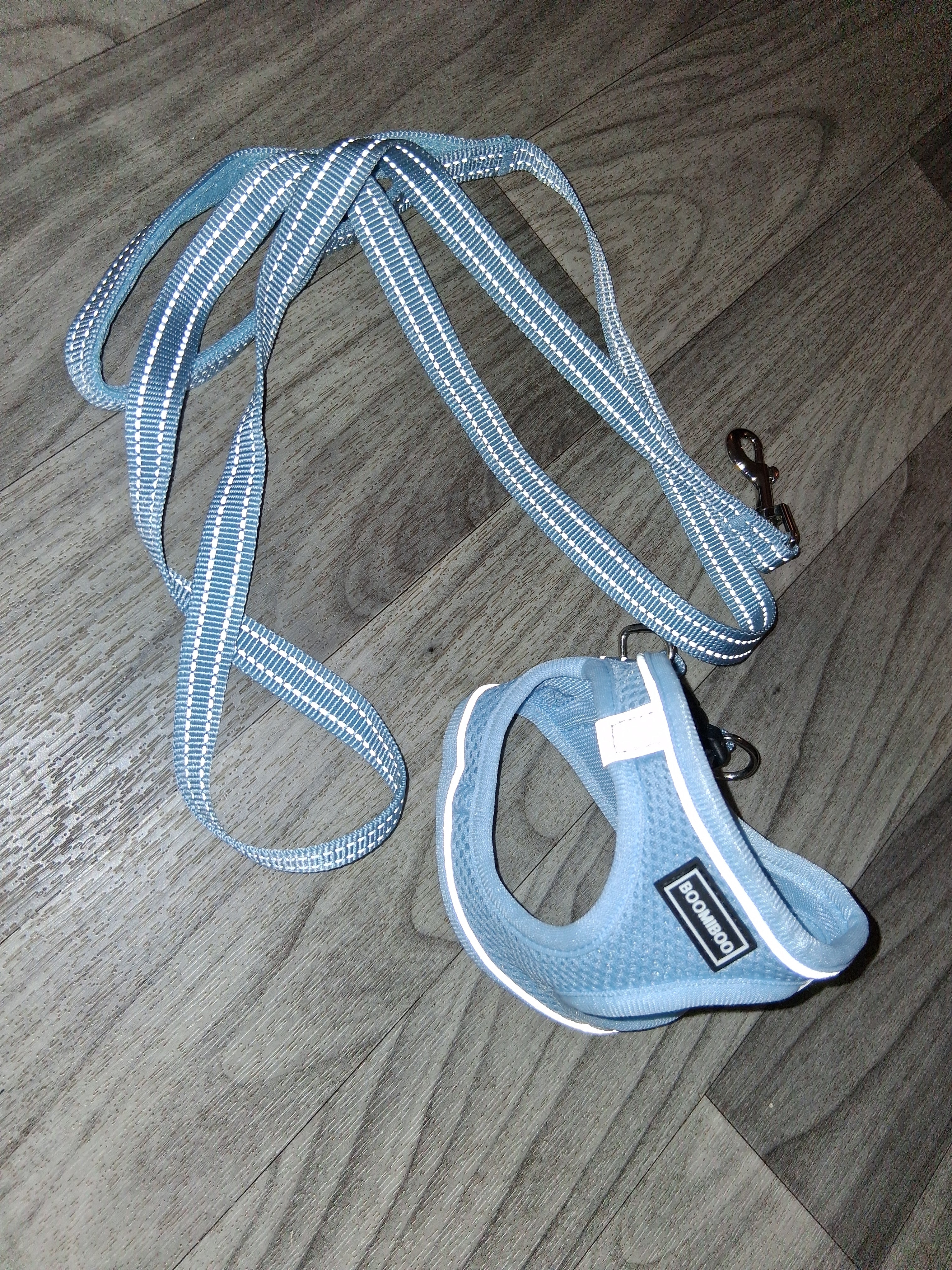 New XXS Dog Harness and Leash